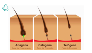 principais dúvidas do ciclo de crescimento capilar