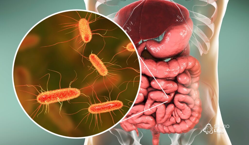 Interação entre saúde intestinal e capilar: como o intestino impacta os fios