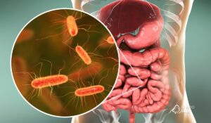 Interação entre saúde intestinal e capilar: como o intestino impacta os fios