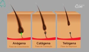 Ciclo capilar: como funciona e por que a queda aumenta em algumas fases