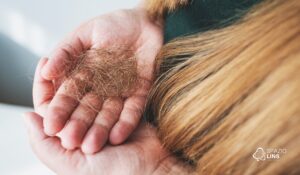 Cabelo caindo da raiz: o que pode ser?
